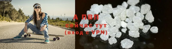 индика Богородск