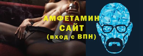 индика Богородск