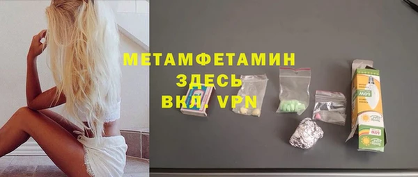 индика Богородск