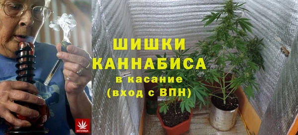 индика Богородск