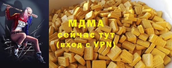 индика Богородск