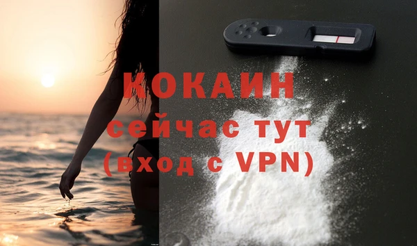 индика Богородск