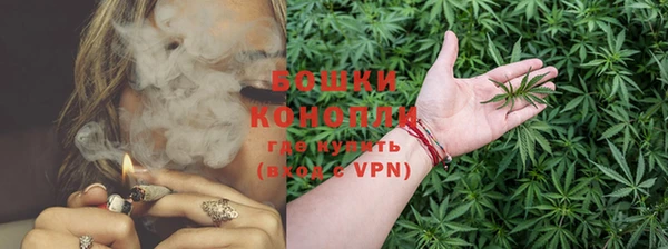 индика Богородск