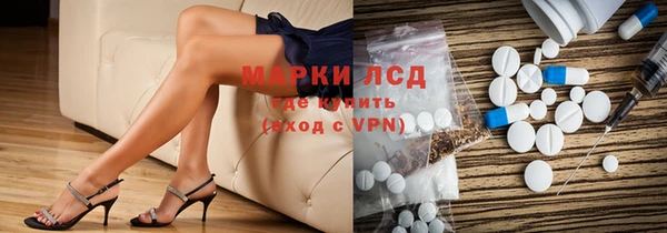 индика Богородск