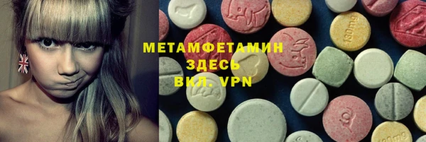 индика Богородск