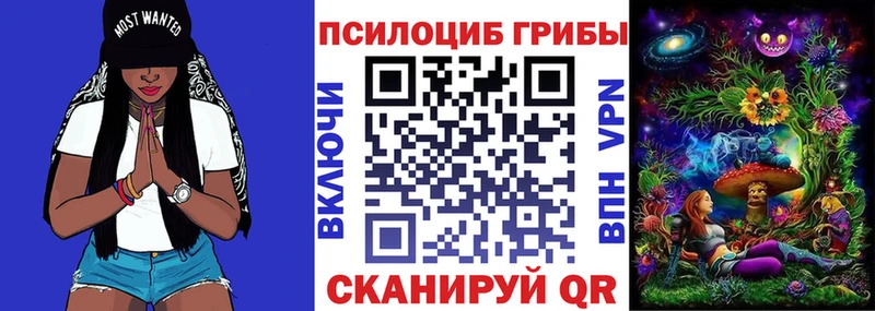 ОМГ ОМГ как войти  Купино  Галлюциногенные грибы мухоморы 